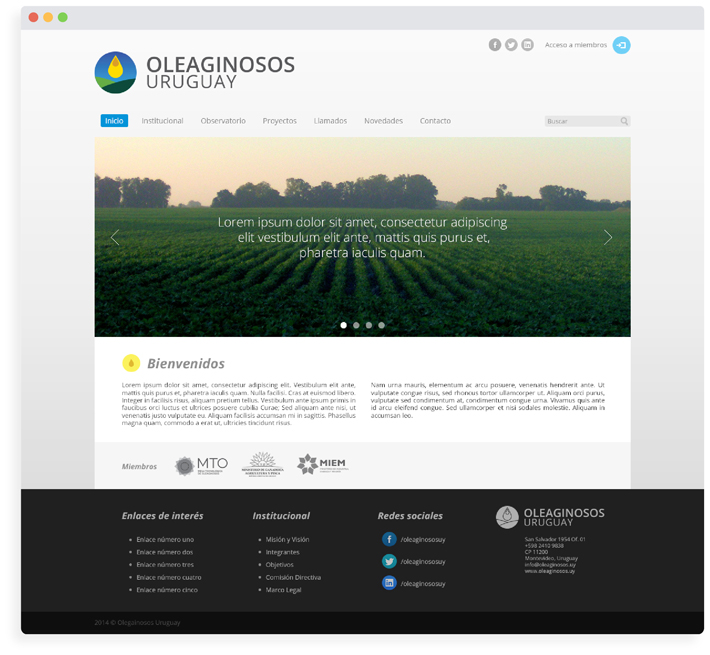 Oleaginosos Uruguay / Sitio web